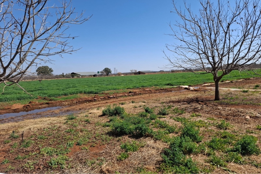 0 Bedroom Property for Sale in Hartswater Northern Cape